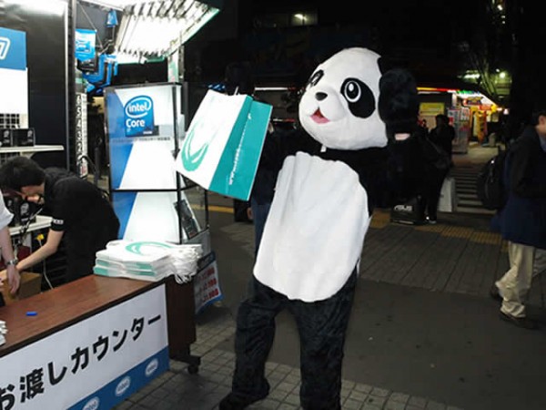 panda panda